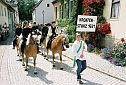 Bild 22