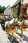 Bild 42