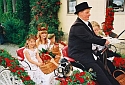Bild 41
