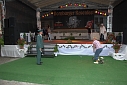 Bild 62