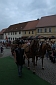 Bild 110