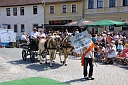 Bild 52
