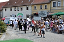 Bild 63