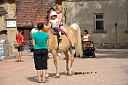 Bild 19