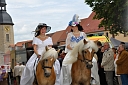 Bild 95