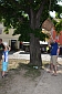 Bild 32